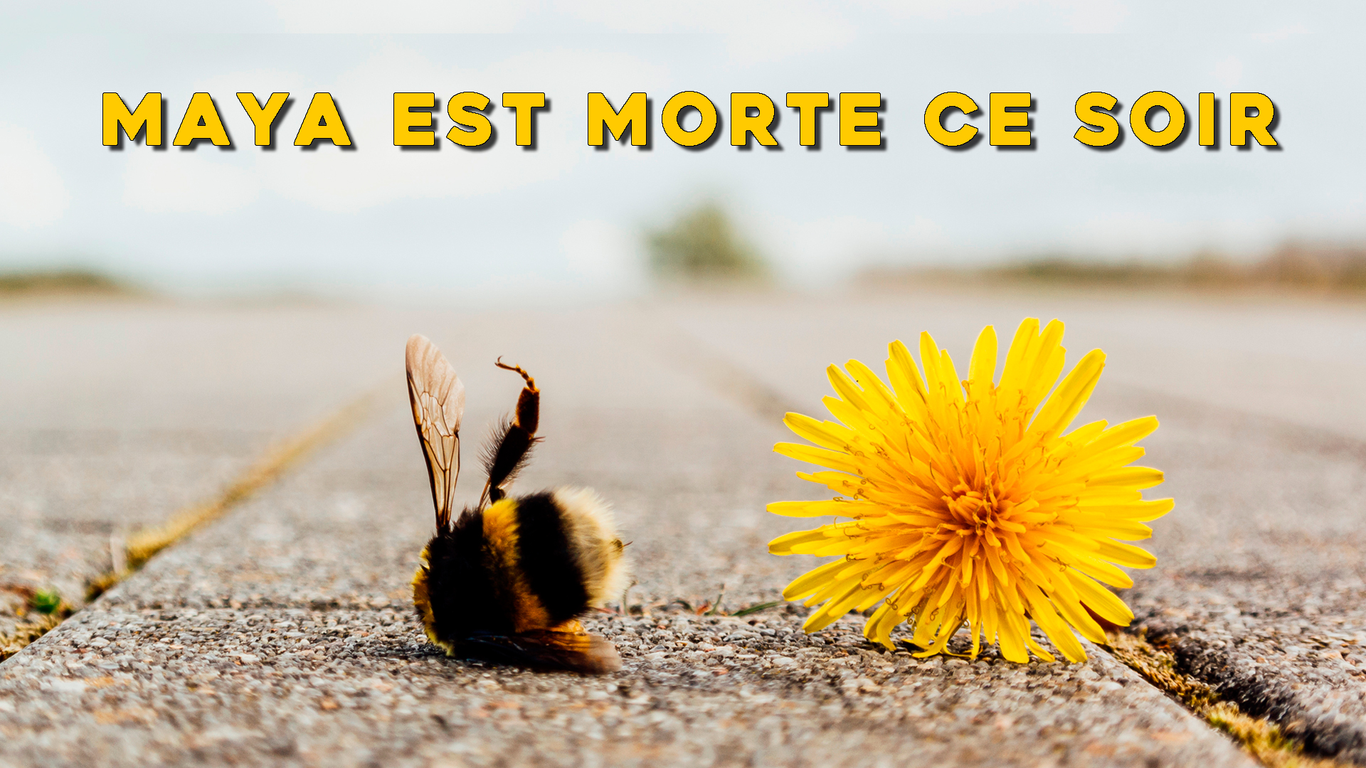 Maya est morte ce soir